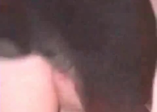 Lovely doggie can't stop fucking the owner