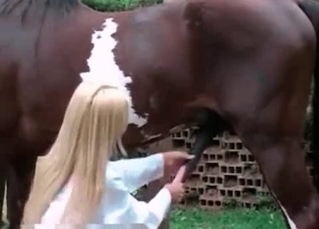 Zealous hottie is jerking big cock of the stallion