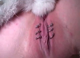 Wonderful babe with piercing wants to try zoo sex