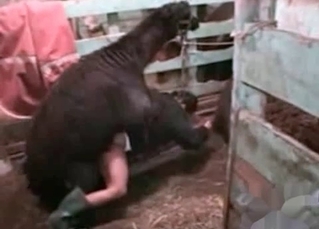 Farm beast is showing some wild fuck skills