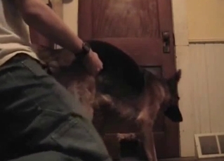 Grabbing and fucking that tight dog hole