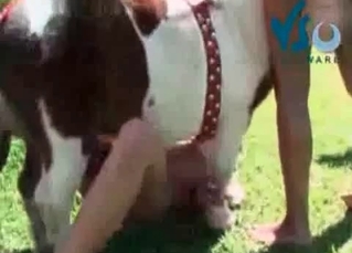 Unstoppable zoophile knows how to satisfy the horse