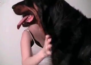 Lustful babe is playing with the doggie