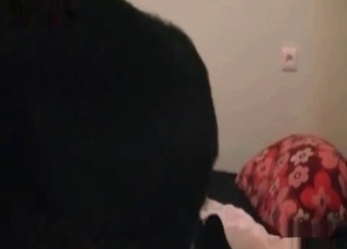 Awesome sex with the beast in the bed