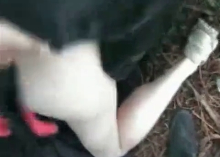 Hot pooch gets punished on the street