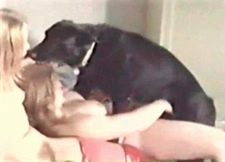 Amateur zoo sex clip starring hot chicks