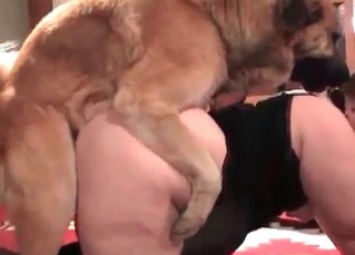 Mature lady is playing with a dog