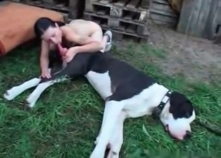 Juicy model is trying zoo fuck for the first time