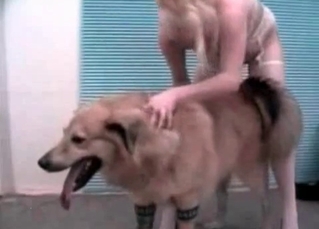 Huge animal is banging the blonde
