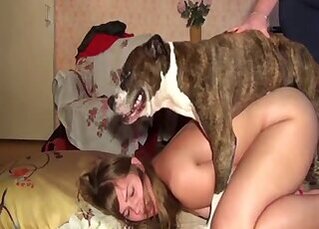 Anal Bestiality sex
