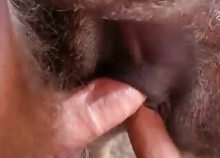 Animal Zoo Sex