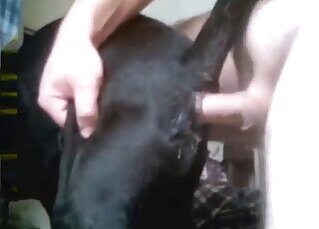Dog zoofilia tube