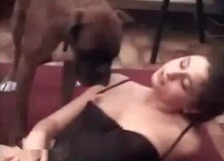 Close-ups in a hardcore bestiality vid